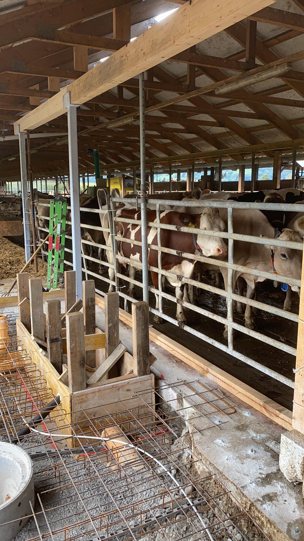 L. Spreiter Landwirtschaftliche Bauten